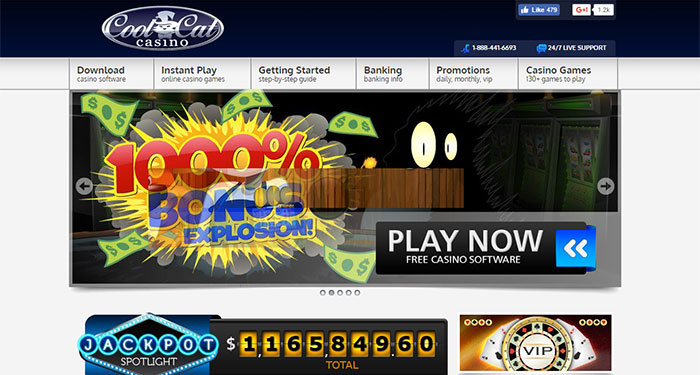 Cool Cat Casino Payout Complaint – Resolved