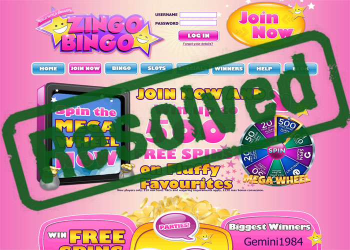 Zingo Bingo Resolved