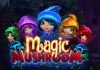 Magic Mushroom Magic Mushroom Slot Game