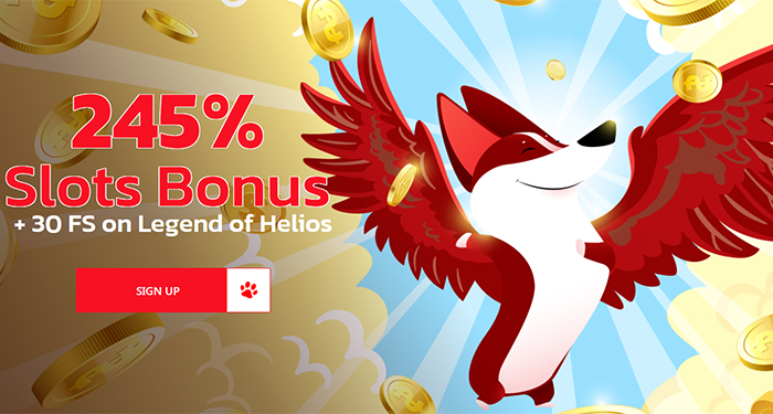 Get a 175% Extra Bonus + 75 Free Spins on Red Dog's New Game