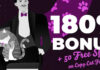 Play Copy Cat Fortune with 180% up to 50FS at El Royale Copy Cat Fortune