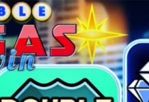 CryptoSlots’ New Double Vegas Twin Slot Adds Double Wilds Double Vegas Twin Slot