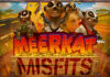 Meerkat Misfits Meerkat Misfits Slot Game