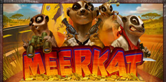Meerkat Misfits Meerkat Misfits Slot Game