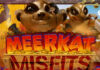 New Meerkat Misfits, 4 Wilds and 4 Stage Free Spins Feature Everygame Poker