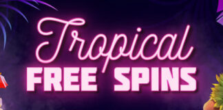 Claim 100 Tropical Free Spins this July at Cyberspins Casino Cyberspins Casino
