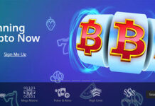 VIP Program Exclusive Club for Players at CryptoSlots Casino Cryptoslots