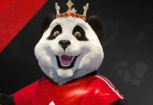 Join Royal Panda Live Club! Feel Sports Thrills to the Max Royal Panda Casino
