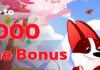 Red Stag Casino Offering Players up to 160% Bonus Red Dog Casino