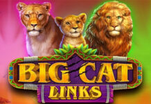 Big Cat Links Big Cat Links Slot