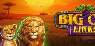 125% Up to 150% Bonus on Big Cat Links at Slots Ninja Slots Ninja