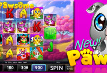CryptoSlots’ Cuddly New Pawsome Slot w/Introductory Bonuses Cryptoslots Casino