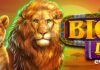 Everygame’s New Big Cast Slot + $240K Tropical Dreams Bonus Everygame Casino