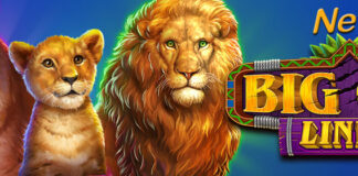 Jackpot Capital, Get 20 Free Spins on New ‘Big Cat Links’ Jackpot Capital Casino