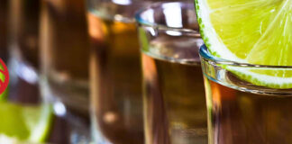 Salute! Red Stag Celebrates Big Wins with Tequila Day Bonus! Red Stag Casino