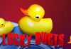 Swim with Lucky Ducts with Slotland’s Game of the Month Slotland Casino