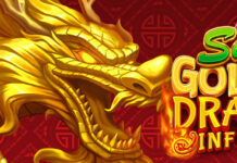 Everygame Giving 10 Free Spins on New Super Dragon Inferno Everygame Poker