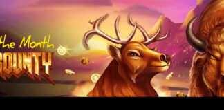 Red Stag Casino, Play Buffalo Bounty Slot with a 365% Bonus Red Stag Casino