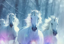 Discover the Magic of Eight Unicorns at Slotland Casino Slotland Casino