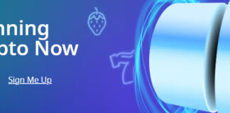 Grab Your Share of Weekly Cashback Rewards at CryptoSlots! Cryptoslots