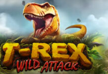Unleash the T-Rex Wild Attack Bonuses at Slots Ninja 🎰✨ T-Rex Wild Attack Bonus