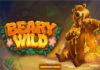 Beary Wild Beary Wild Slot