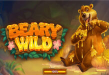 Beary Wild Beary Wild Slot