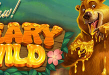 Everygame Casino New Beary Wild Fill Your Honeypot with Wins Everygame Casino