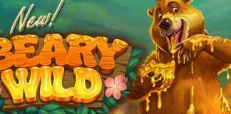 Everygame Casino New Beary Wild Fill Your Honeypot with Wins Everygame Casino