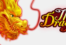 Get 25 Free Bets on The Dragon Warriors Slot at Everygame Everygame Poker