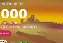 Slots.lv $3,000 Bonus on a First Deposit with Crypto/Bitcoin Slotslv Crypto/Bitcoin