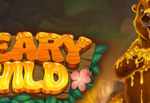 Deposit + Free Spins Bonus on Beary Wild at Slots Ninja Slots Ninja