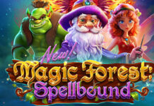 New “Magic Forest: Spellbound” Bonus at Everygame Casino Magic Forest: Spellbound Slot