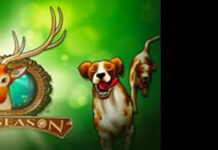 60% Game of the Month Bonus at WinADay Casino WinAday Casino
