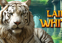Up to $1000 Bonus for New Lair of the White Tiger Slot! Slots Capital Casino