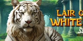 Up to $1000 Bonus for New Lair of the White Tiger Slot! Slots Capital Casino