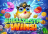 Shelltastic Wins Shelltastic Wins Slot