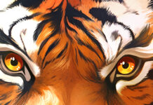 Get Extra Spins During Everygame’s Betsoft Free Spins Week! Everygame Poker