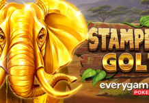 Stampede Gold Freebie is Slot of the Month at Everygame Everygame Poker
