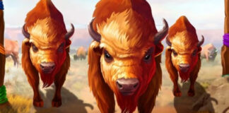 Buffalo Spins Introductory Bonuses Now at Decode Casino Decode Casino