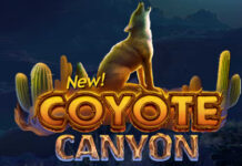 200% Deposit Bonus on Exciting New Slot: Coyote Canyon Slot Slots Capital Casino Review