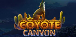 200% Deposit Bonus on Exciting New Slot: Coyote Canyon Slot Slots Capital Casino Review