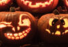 350 Free Spins Halloween Spell at Sloto’Cash Casino Casino Halloween Bonuses