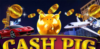 Cash Pig Cash Pig Slot
