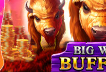 Top Spins June 2025 – Decode Casino, Big Wild Buffalo Bonus Decode Casino