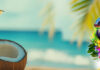 Tropical Temptation Launches Across 3 Casinos w/ Free Perks Slotland Casino Bonus